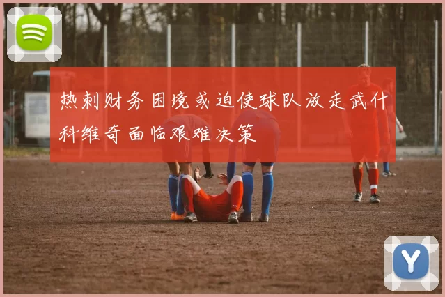 热刺财务困境或迫使球队放走武什科维奇面临艰难决策