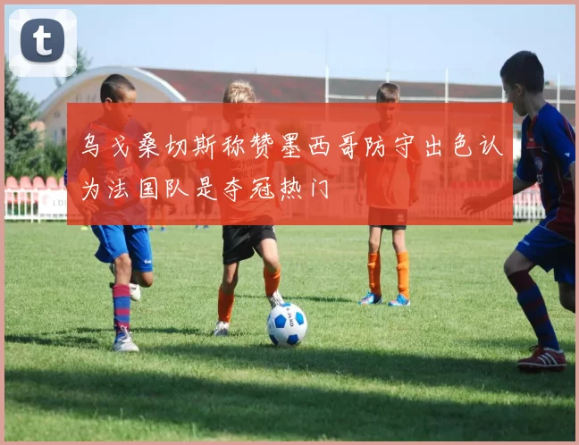 乌戈桑切斯称赞墨西哥防守出色认为法国队是夺冠热门
