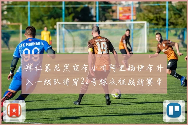 拜仁慕尼黑宣布小将阿里扬伊布升入一线队将穿22号球衣征战新赛季